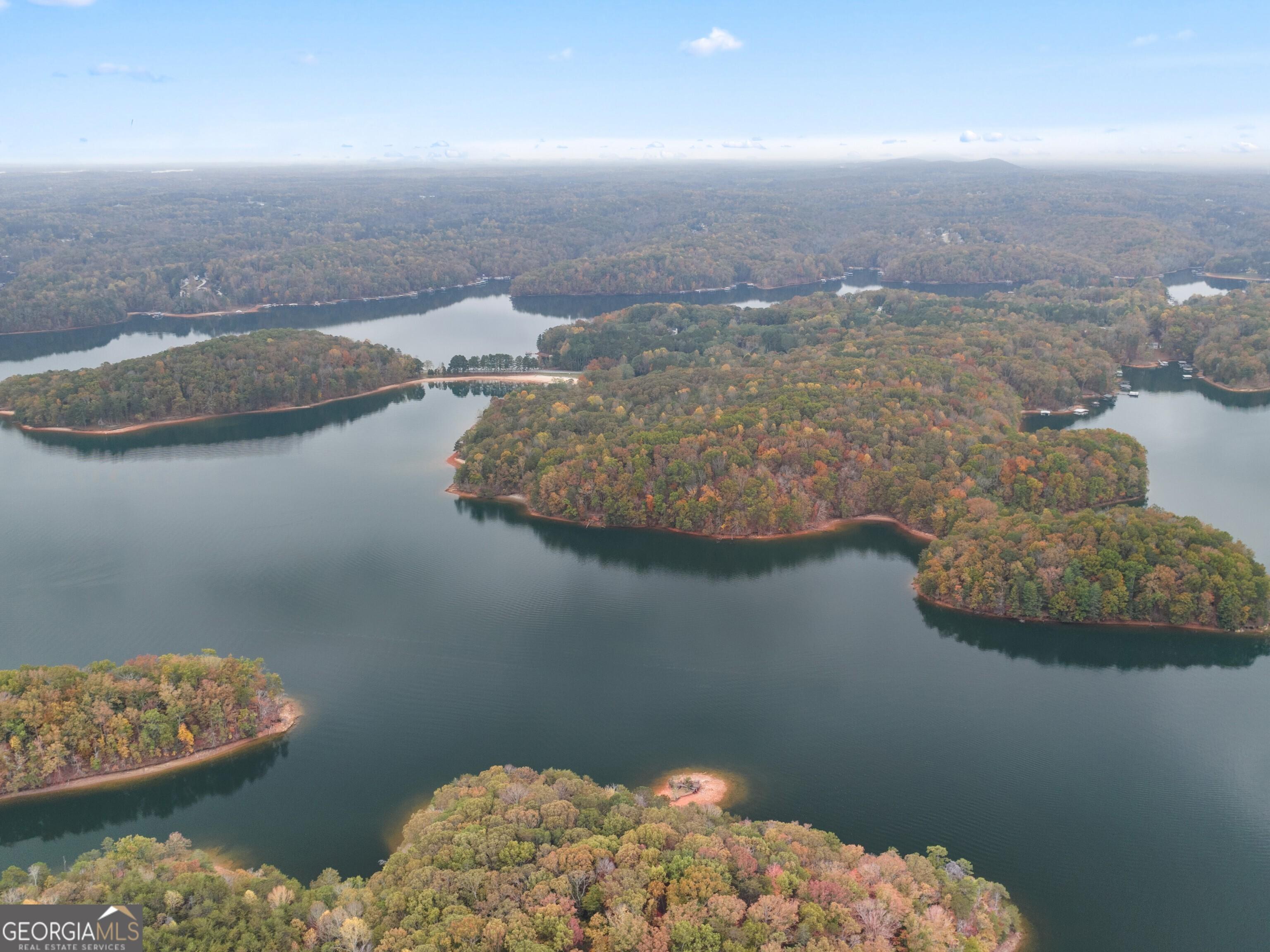 Image 4: Falcon Landing community at Lake Lanier in Gainesville, Georgia
