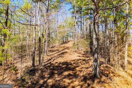 County Road 269, Wedowee AL 36278