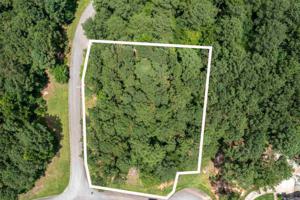 1021 Forest Hts