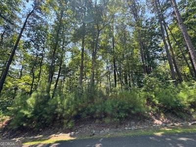 Lot N/A Carters View, Ellijay GA 30540