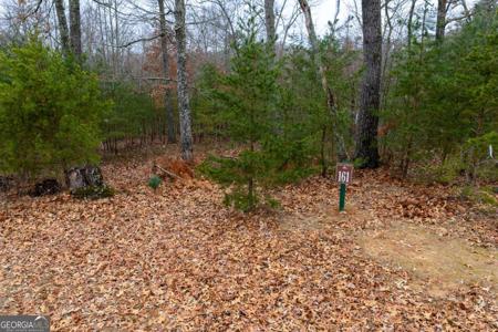 Lot 161, Cleveland GA 30528 161 Headwaters Court