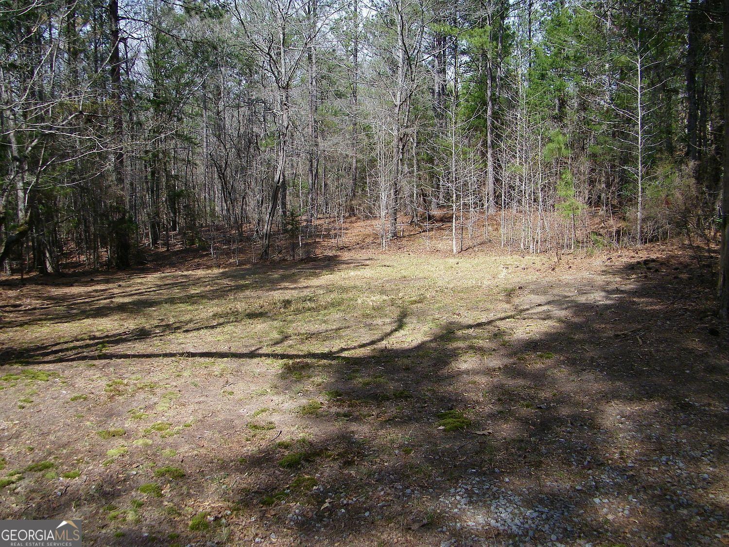 Image 4: Nice, cleared campsite