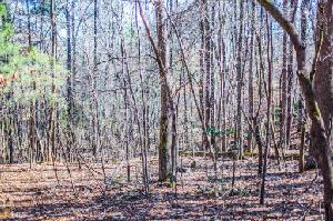 050 1050 Wooten Dr