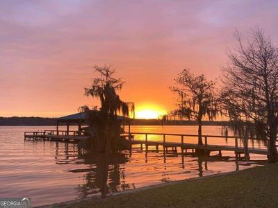 152 Cantey Drive, Cobb GA 31735