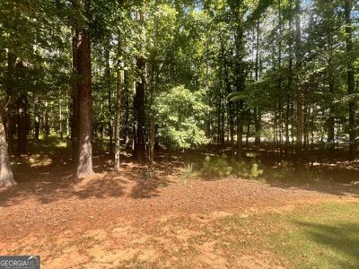 1050 Flemings Knoll, Greensboro GA 30642