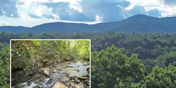 Lot 19 Mt. Springer Road, Ellijay GA 30540