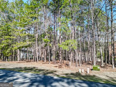 1050 Club Cove Drive, Greensboro GA 30642