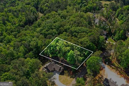 1021 Shadow Creek Way, Greensboro GA 30642