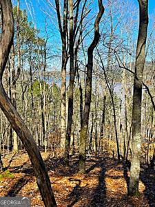 Lot 20 Carters Overlook Drive, Chatsworth GA 30705