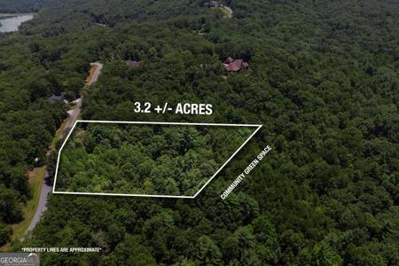 Lot 120, Cleveland GA 30528 Laceola South Road