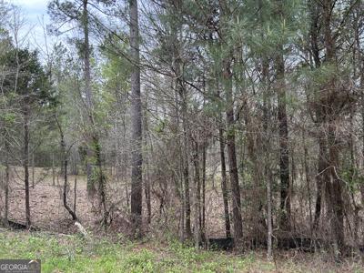 Lot 33 Hornets Bridge Drive, Elberton GA 30635