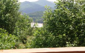 204 Rolling Acres Rd