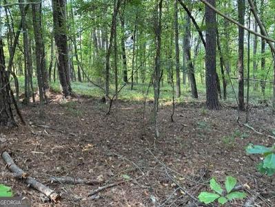 Lot 7 Lake Sinclair Drive, Sparta GA 31087 SS