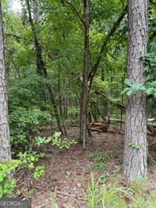 Lot 79 Island Creek Drive, Sparta GA 31087