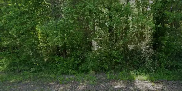 Lot 257 Tamarack Drive, Jasper GA 30143