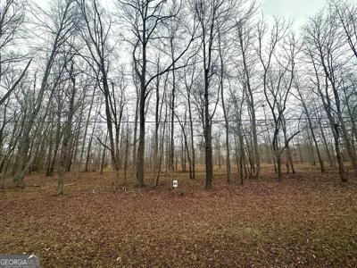 Lot 65 Parks Ferry Drive, Greensboro GA 30642