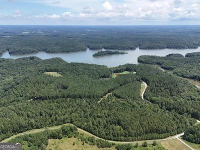 Jacks Hat Road, Elberton GA 30635