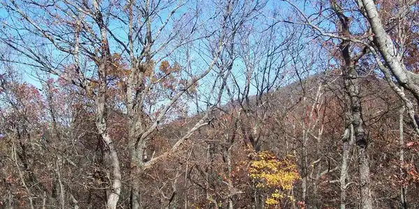 142 142 Sharp Mountain