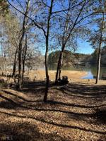 315 Spring Branch Circle