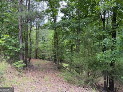 Lot 52 Bramlett Cr, Elberton GA 30635