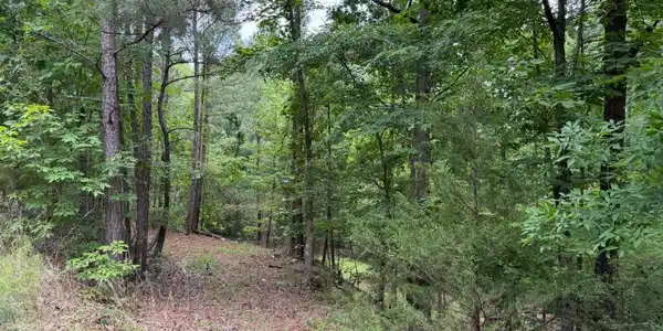 Lot 52 Bramlett Cr, Elberton GA 30635