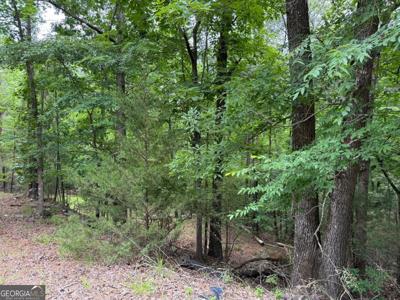 Lot 51 Bramlett Cr, Elberton GA 30635