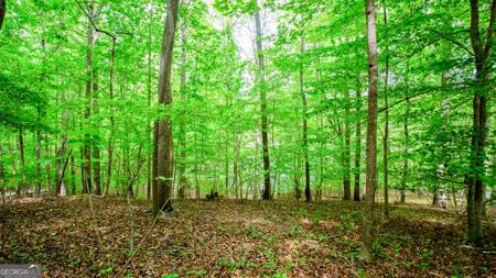 6855 Hardwood E, Gainesville GA 30506