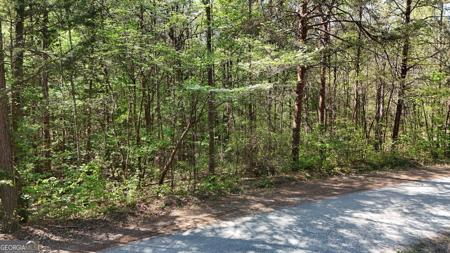 Holcomb North Drive, Martin GA 30557