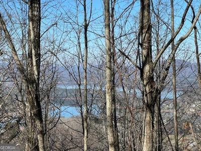 Lot 54 Dan Knob, Hayesville NC 28904