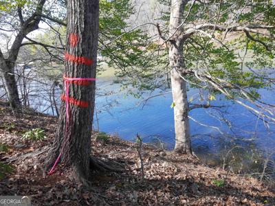 Lot 6 Lost Forest Drive, Westminster SC 29693