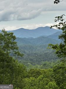 Rainwater Trail # 7, Tiger GA 30576