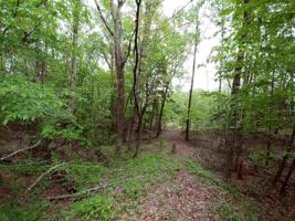 0 Ruckersville Road