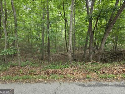 Lot 109 Arrowhead Drive, Lavonia GA 30553