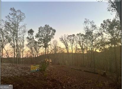 South Chestatee Street, Dahlonega GA 30533