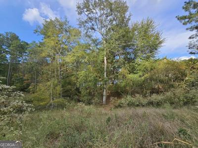 1272 N Edgewater Trail, Toccoa GA 30577