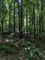 Lot 198/199 Fairlane Dr