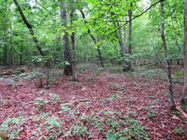Lot 7.28 Acres Shore Crest Dr