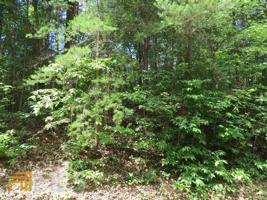 LOT 13 Shore Crest Drive