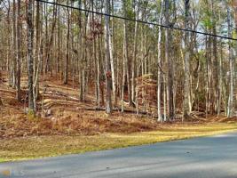 234 Lakewood Drive