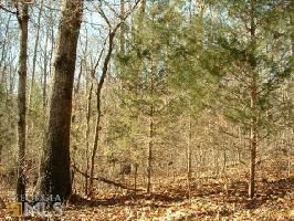 Andrews Subdivision LOT 9-A