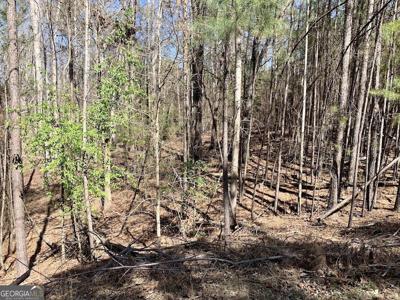 888 Melody Point, Hartwell GA 30643