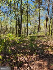 Crawfords Ferry Point, Hartwell GA 30643