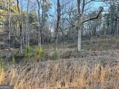 River Ridge Trail # 396, Sparta GA 31087