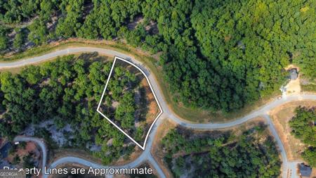 Lot 84 Ridge Drive, Morganton GA 30560
