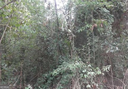 Lot 245 Waters Street, Monticello GA 31064