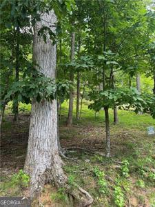 830 N Duffer Drive, Jasper GA 30143
