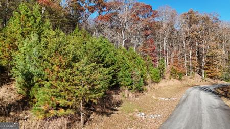 Lot 184 Northshore Drive, Cleveland GA 30528