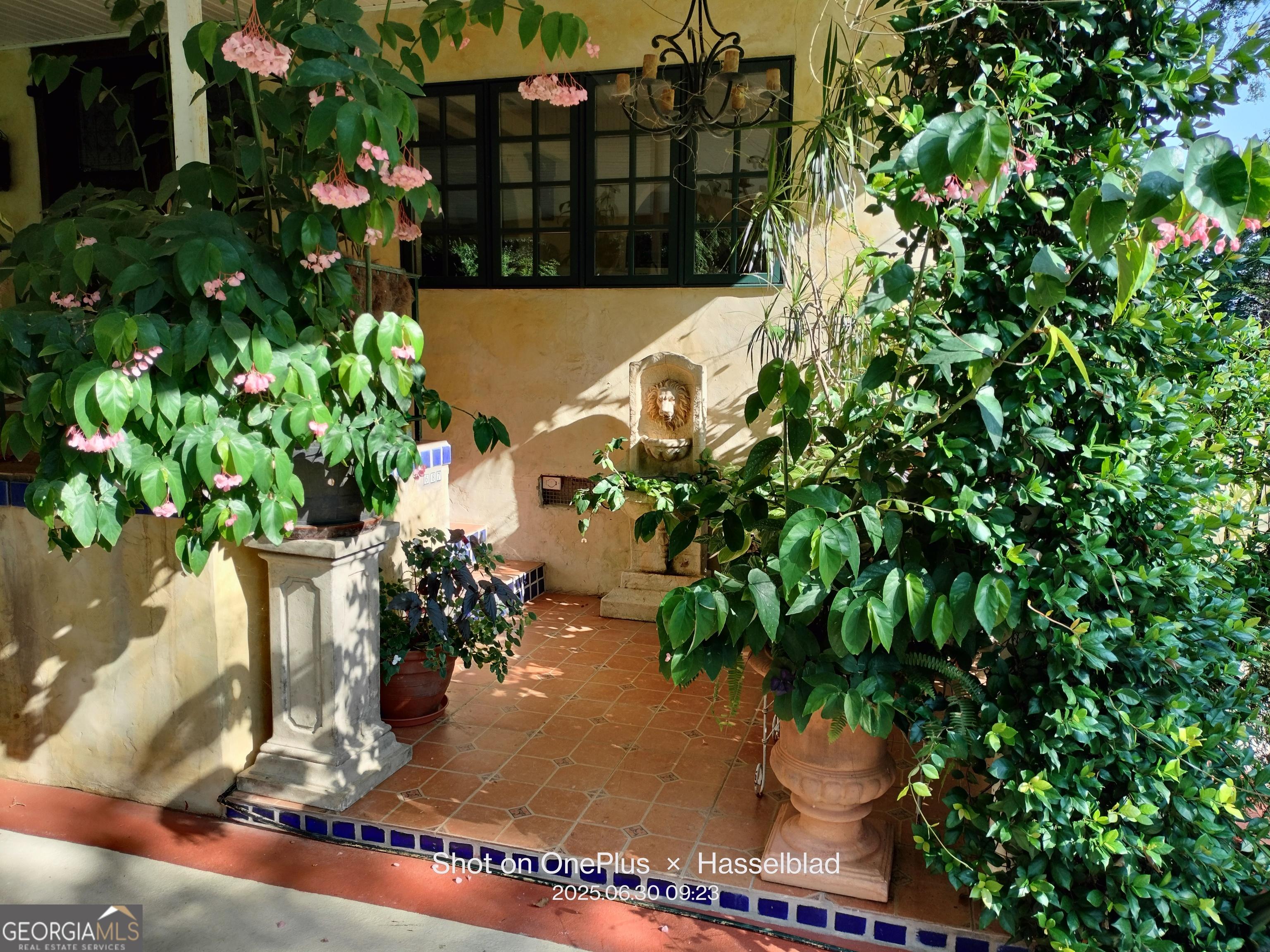 Image 4