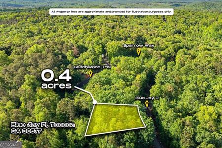 Lot 4 Blue Jay Place, Toccoa GA 30577