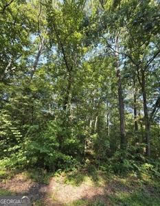 Lot 34-37 County Road 249, Leesburg AL 35983